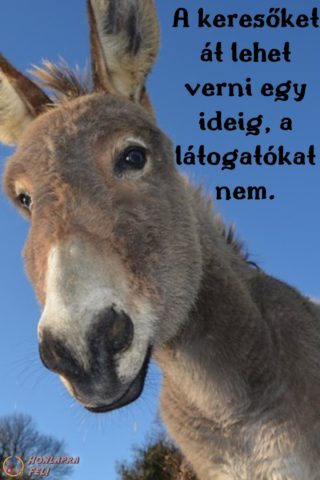 A keresőoptimalizálás aranyszabáéya Google kereső