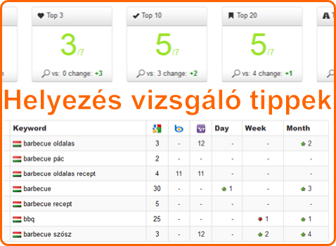 Helyezés vizsgáló