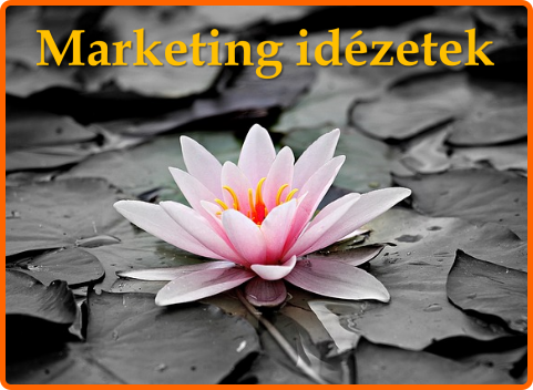 Marketing idézetek: A 12+1 legfontosabb online marketing idézet