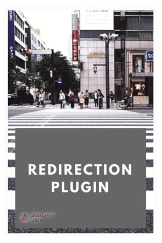 Redirection plugin