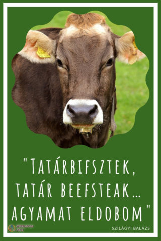 Tatár bifsztek, tatárbifsztek, tatát beefsteak helyesírása idézet