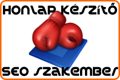 Honlapkészítő vs. SEO Honlapkészítő vs. SEO szakember
