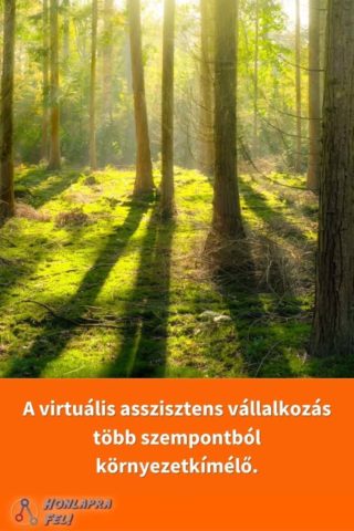 erdő és virtuális asszisztens munka környezetkímélő tulajdonságáról szóló szöveg