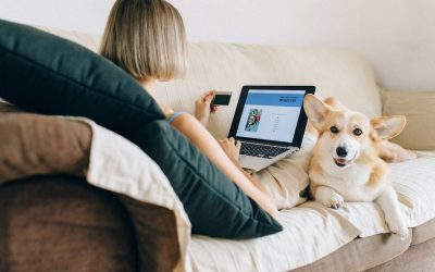 A webáruház indítás feltételei: így csináld jól!